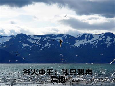 主角是吕晚宁李丞璟的小说叫什么名字浴火重生:我只想再爱他小说免费阅读