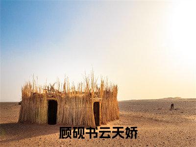 顾砚书云天娇在线阅读（顾砚书云天娇小说）全文免费阅读无弹窗大结局_顾砚书云天娇免费最新章节列表