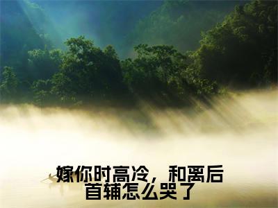 嫁你时高冷,和离后首辅怎么哭了全文免费在线阅读_(顾砚辞林初意免费阅读无弹窗)嫁你时高冷,和离后首辅怎么哭了全文免费完结版阅读