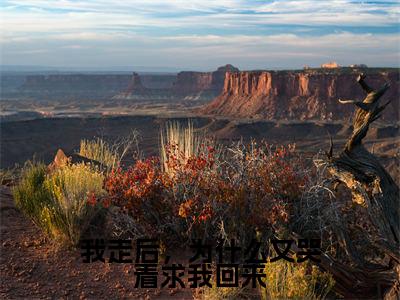 我走后,为什么又哭着求我回来(怜风叶秋)最火婚恋小说-(怜风叶秋)全文免费阅读笔趣阁