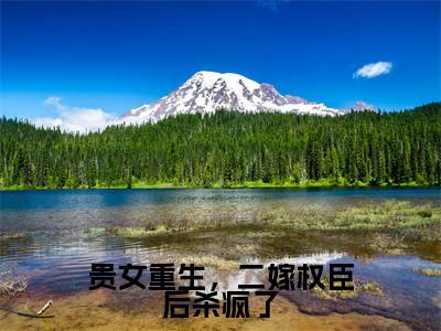 贵女重生,二嫁权臣后杀疯了(玉桑宁)全文免费阅读大结局_贵女重生,二嫁权臣后杀疯了最新章节列表_笔趣阁