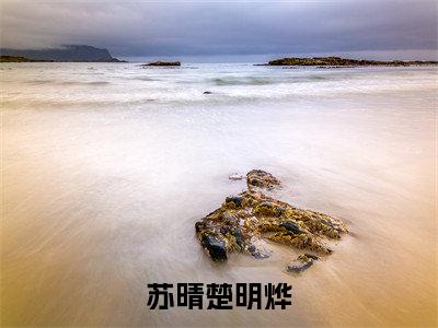 小说《苏晴楚明烨》全文免费阅读无弹窗-苏晴楚明烨（苏晴楚明烨）小说全文在线赏析_笔趣阁
