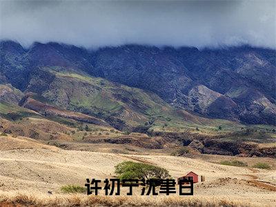 【热门】《许初宁沈聿白》书名是沈聿白许初宁全文免费阅读已完结
