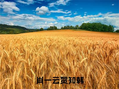 贺知韩肖一云全文免费免费阅读无弹窗最新章节列表_笔趣阁(肖一云贺知韩全文免费)