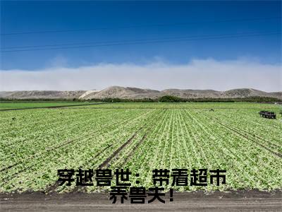 蓝岚小说穿越兽世:带着超市养兽夫!全文免费阅读无弹窗-正版小说蓝岚全文阅读