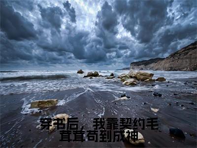 时鸢(穿书后,我靠契约毛茸茸苟到成神)全文免费阅读_(穿书后,我靠契约毛茸茸苟到成神)时鸢最新章节小说免费阅读_笔趣阁