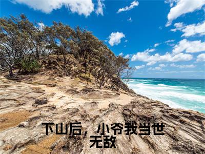 顾辰全文免费阅读无弹窗大结局_(顾辰)最新章节列表笔趣阁(下山后,小爷我当世无敌)