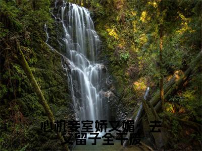 【新书】《心机妾室娇又媚,去父留子全干废》全文免费阅读无弹窗大结局-萧蝶二蛋全文全章节免费阅读