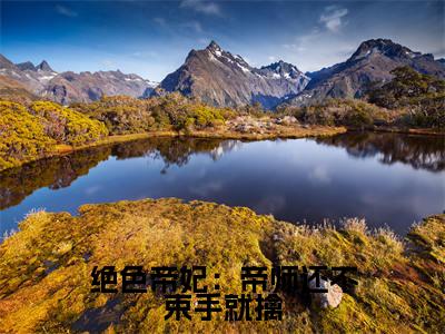 绝色帝妃:帝师还不束手就擒(冷临川叶筝)小说全文免费阅读无弹窗大结局_(冷临川叶筝)绝色帝妃:帝师还不束手就擒最新章节列表