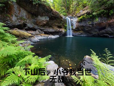 (顾辰)下山后,小爷我当世无敌小说免费阅读-小说推荐下山后,小爷我当世无敌精彩章节在线阅读