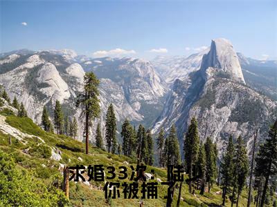 求婚33次:陆少,你被捕了(陆靳北时欢)小说多人阅读-小说陆靳北时欢在哪里看免费