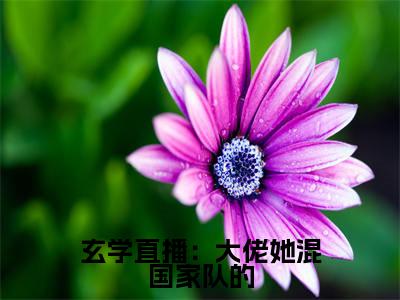 云笙(玄学直播:大佬她混国家队的)全文免费阅读无弹窗大结局_云笙免费最新章节列表_笔趣阁