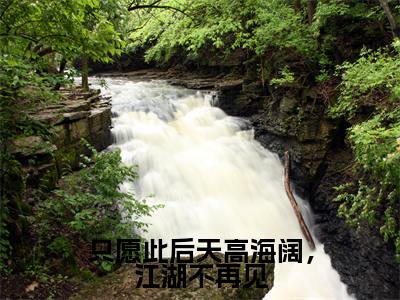 只愿此后天高海阔,江湖不再见(秦云峥沈如涵小说)全文免费阅读无弹窗大结局_只愿此后天高海阔,江湖不再见小说秦云峥沈如涵列表