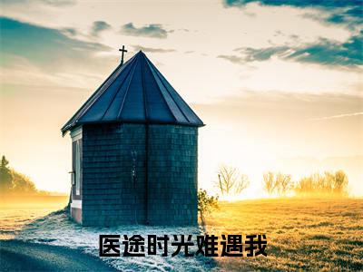 林景芸许舟渡是哪部小说的主角,医途时光难遇我免费阅读全文大结局