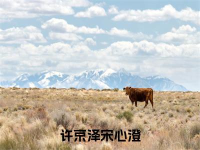 许京泽宋心澄免费阅读无弹窗大结局,许京泽宋心澄(最新全章节)全文阅读免费阅读-笔趣阁