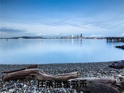 庄承海雀书禾(雀书禾庄承海)小说多人阅读-小说雀书禾庄承海在哪里看免费
