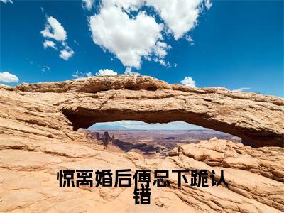 傅北擎宋栀惜免费小说,惊离婚后傅总下跪认错全文免费阅读无弹窗大结局