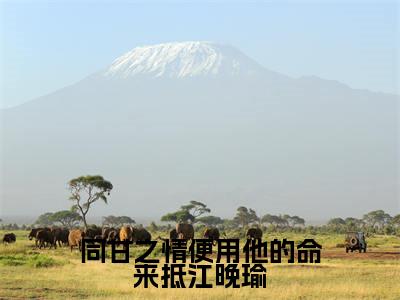 同甘之情便用他的命来抵江晚瑜小说(陆之遥江晚瑜)全文在线阅读免费大结局_同甘之情便用他的命来抵江晚瑜小说最新章节列表