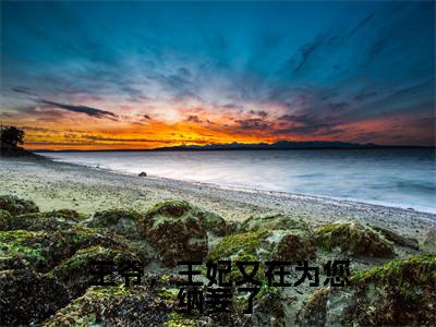王爷,王妃又在为您纳妾了全文免费阅读_(王爷,王妃又在为您纳妾了)林暮橙顾辞森最新小说_笔趣阁