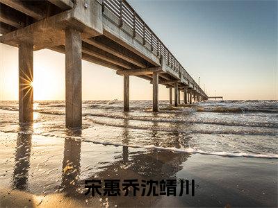 (宋惠乔沈靖川抖音小说)宋惠乔沈靖川小说全文阅读免费(结局)+(免费)