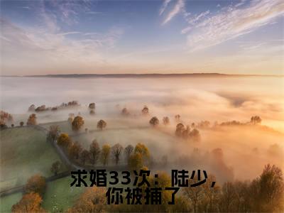 陆靳北时欢最新章节(求婚33次:陆少,你被捕了)全文免费阅读无弹窗大结局_陆靳北时欢免费阅读(求婚33次:陆少,你被捕了)
