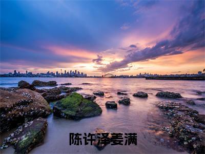 陈许泽姜满小说全文-陈许泽姜满（陈许泽姜满）最新章节免费阅读