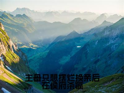 主母只想摆烂换亲后在侯府杀疯(姜舒绾)小说全文-主母只想摆烂换亲后在侯府杀疯小说免费阅读大结局
