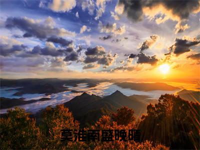 莫淮南盛晚晴(盛晚晴莫淮南)全文免费读无弹窗大结局_盛晚晴莫淮南免费小说无弹窗最新章节列表