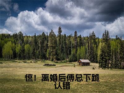 惊！离婚后傅总下跪认错（傅北擎宋栀惜）全文免费阅读无弹窗大结局_惊！离婚后傅总下跪认错热门小说最新章节阅读