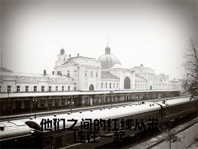 他们之间的红线从未连在一起(苏伊离沈渊墨)全文免费读无弹窗大结局_他们之间的红线从未连在一起免费阅读全文大结局最新章节列表