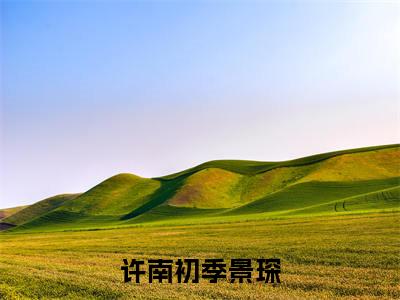 许南初季景琛（许南初季景琛小说）小说免费最新章节列表_许南初季景琛笔趣阁（许南初季景琛小说）