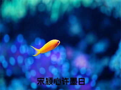 宋颖心许墨白(宋颖心许墨白)老书虫良心推荐小说-宋颖心许墨白(宋颖心许墨白)小说精彩免费试读