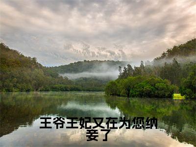 王爷王妃又在为您纳妾了小说全文免费阅读无弹窗大结局_(王爷王妃又在为您纳妾了)林暮橙顾辞森最新章节列表笔趣阁