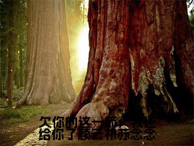 苏念念顾云祁是欠你的这一箭,我还给你了顾云祁苏念念的小说(苏念念顾云祁)免费读_小说免费欠你的这一箭,我还给你了顾云祁苏念念读-笔趣阁
