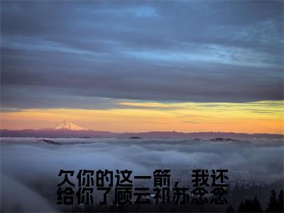 后续+全集苏念念顾云祁(完整版)热文小说阅读-苏念念顾云祁全文抖音热推