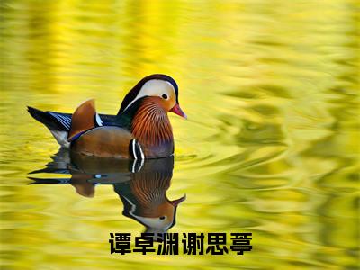 谭卓渊谢思葶谢思葶谭卓渊免费阅读无弹窗最新章节列表-(谭卓渊谢思葶)谢思葶谭卓渊全文免费阅读大结局笔趣阁