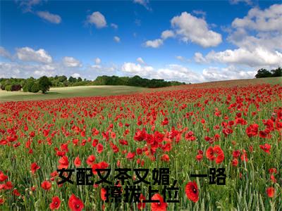 程西京温姒(女配又茶又媚,一路撩拨上位最新全章节大结局)全文阅读-程西京温姒女配又茶又媚,一路撩拨上位在线小说免费阅读