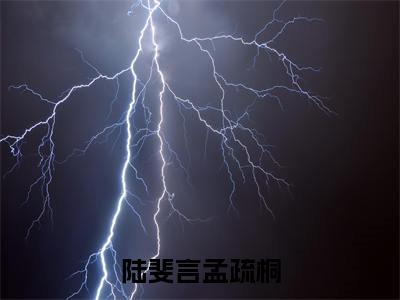 陆斐言孟疏桐小说（孟疏桐陆斐言）全文免费阅读无弹窗大结局_孟疏桐陆斐言最新章节列表（孟疏桐陆斐言）