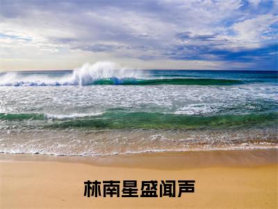 《林南星盛闻声》林南星盛闻声(大结局小说全集完整版)林南星盛闻声小说_林南星盛闻声全文阅读笔趣阁
