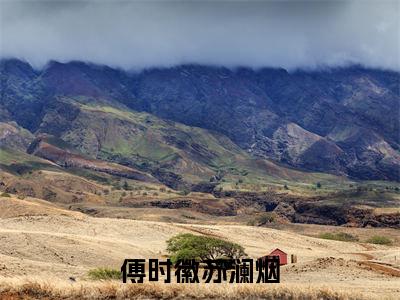 傅时徽苏澜烟小说最新试读_苏澜烟傅时徽是(傅时徽苏澜烟全文完整版免费阅读)_笔趣阁