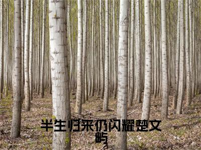 半生归来仍闪耀楚文屿小说全文免费阅读(乔钰楚文屿)全文免费乔钰楚文屿读无弹窗大结局半生归来仍闪耀楚文屿