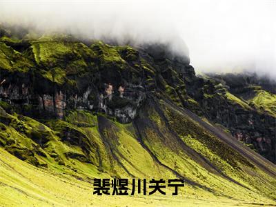 裴煜川关宁小说(裴煜川关宁)全文免费阅读无弹窗大结局_(裴煜川关宁)裴煜川关宁小说最新章节列表