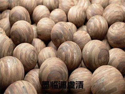 (虞清墨临渊)是什么小说-墨临渊虞清全文免费阅读无弹窗大结局(虞清墨临渊)最新章节列表