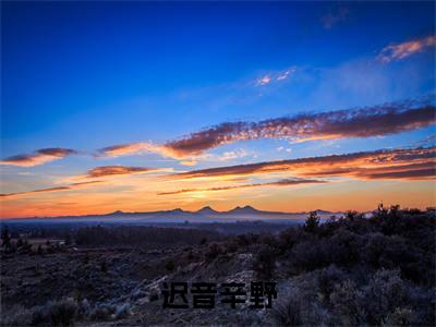迟音辛野小说全文免费阅读最新章节_迟音辛野(迟音辛野)免费观看完结版_笔趣阁(迟音辛野)