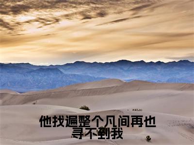 （沈长钰）全文免费阅读无弹窗大结局_他找遍整个凡间再也寻不到我最新章节列表_笔趣阁