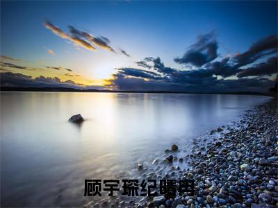 顾宇琛纪晴冉全文免费阅读(纪晴冉顾宇琛免费阅读无弹窗)顾宇琛纪晴冉最新章节列表_笔趣阁