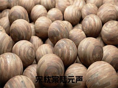 宋枕棠陆元声全文小说(宋枕棠陆元声)全文阅读-宋枕棠陆元声在线小说免费阅读