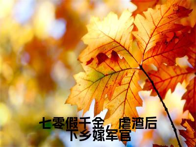 七零假千金,虐渣后下乡嫁军官(苏婉清顾浩轩)全文免费阅读无弹窗_七零假千金,虐渣后下乡嫁军官最新小说_笔趣阁(苏婉清顾浩轩)