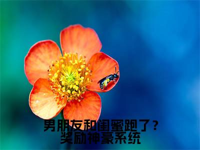 小说男朋友和闺蜜跑了?奖励神豪系统全文免费阅读苏冉冉小说全文在线赏析_笔趣阁