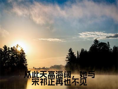 从此天高海阔,她与宋祁正再也不见(顾安宁宋祁正)全文免费阅读无弹窗大结局_(从此天高海阔,她与宋祁正再也不见)已完结全集大结局小说
